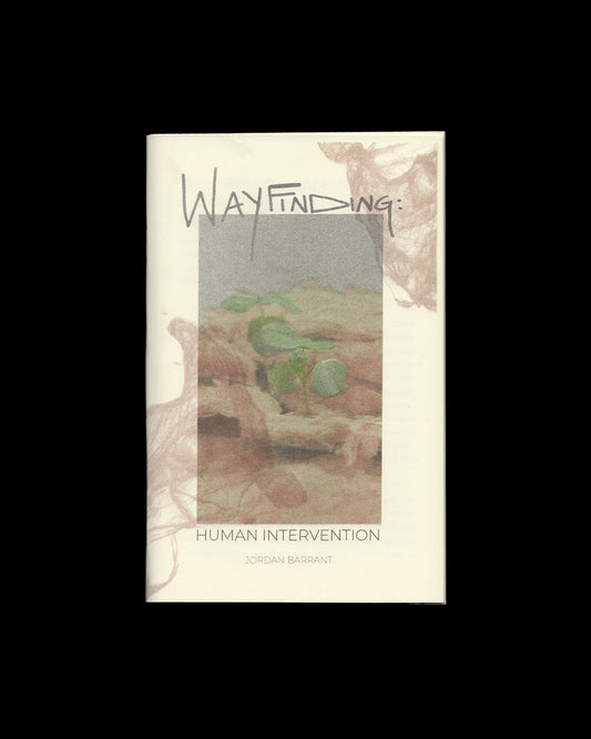 Wayfinding: Human Intervention Publication