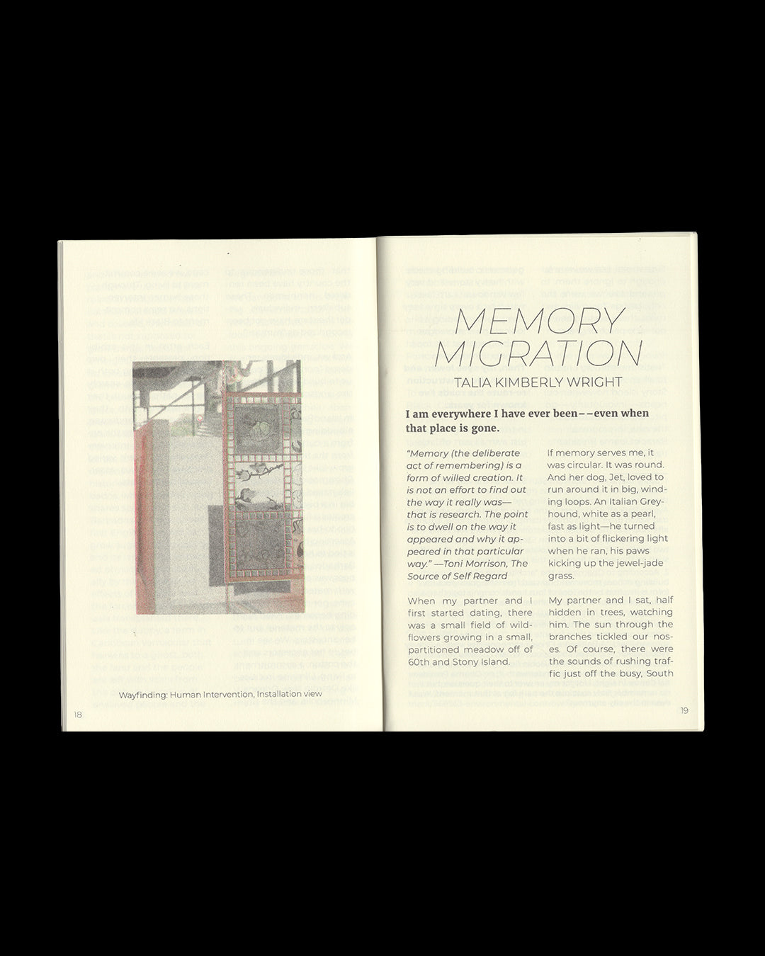 Wayfinding: Human Intervention Publication